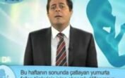 Gebelikte 2.Hafta